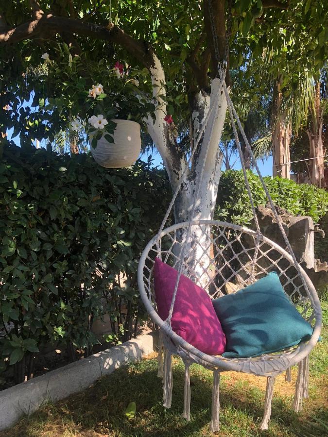 B&B Green Oasis Πομπηία Εξωτερικό φωτογραφία